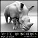 animal_rhino_5